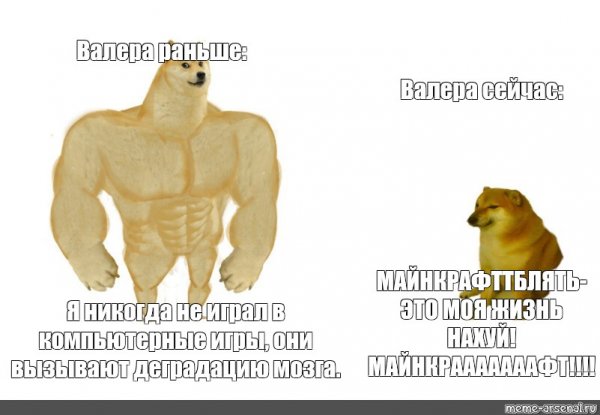 Качок доге и Чимс