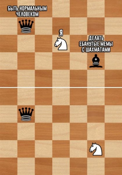 Шутки про шахматы