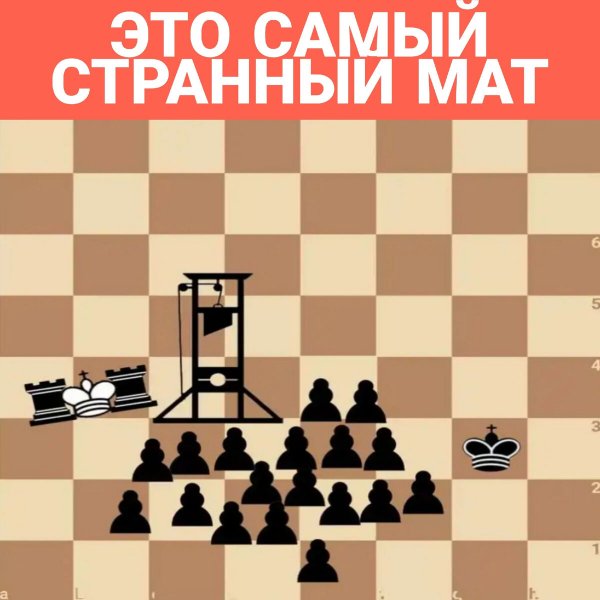 Мемы про шахматистов