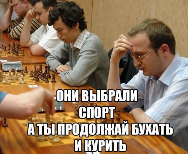 Мемы по шахматам