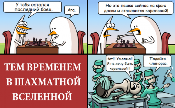 Шахматы Мем