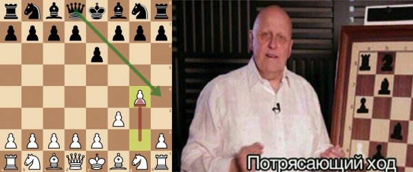 Шахматный юмор