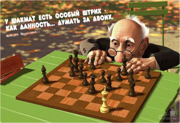 Шутки про шахматы