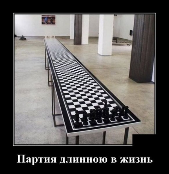 Кличко шахматы прикол