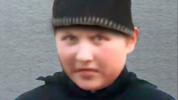 Опасный поцык битва за пенёк
