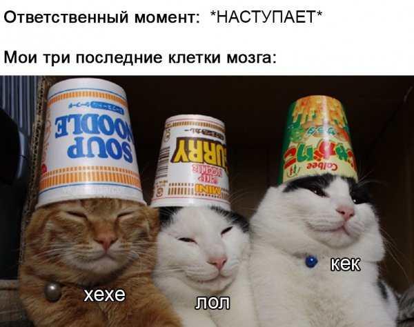 Хе Хе Мем кот