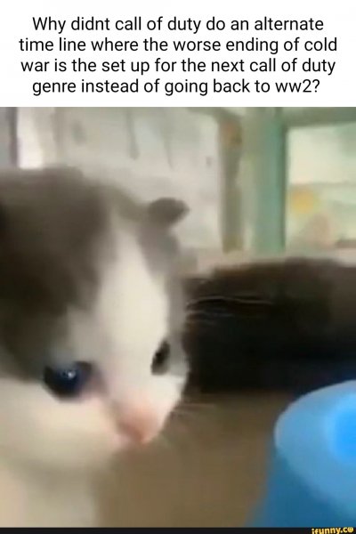Hehe кот Мем