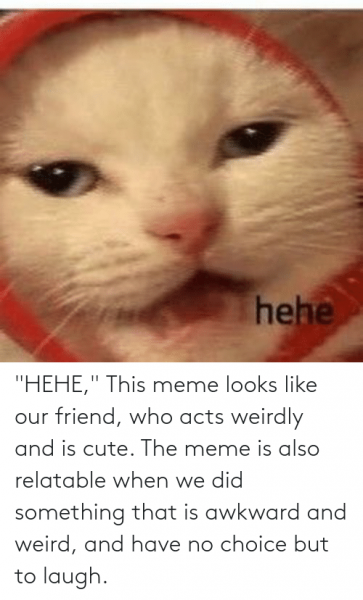 Кот хехе