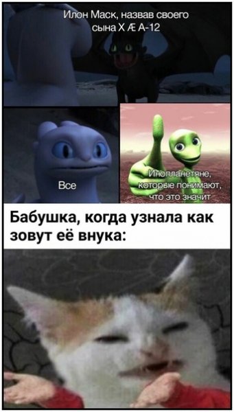 Котик хехе