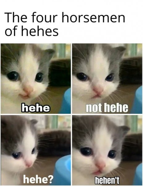 Hehe котенок