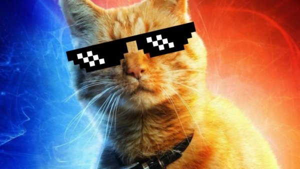 Hehe кот Мем