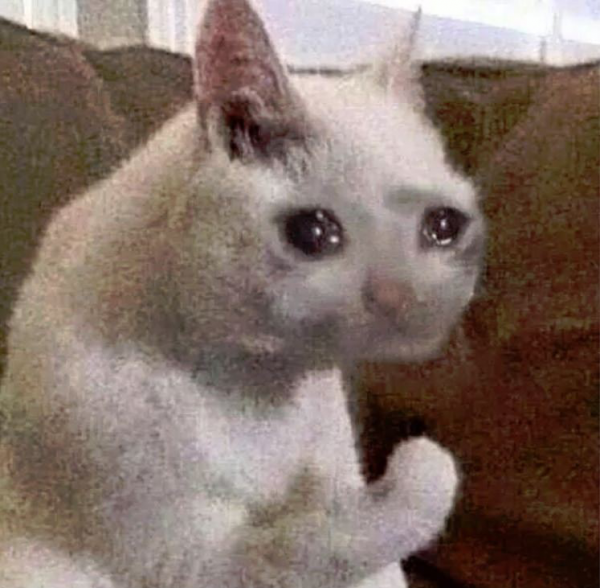 Hehe meme кот
