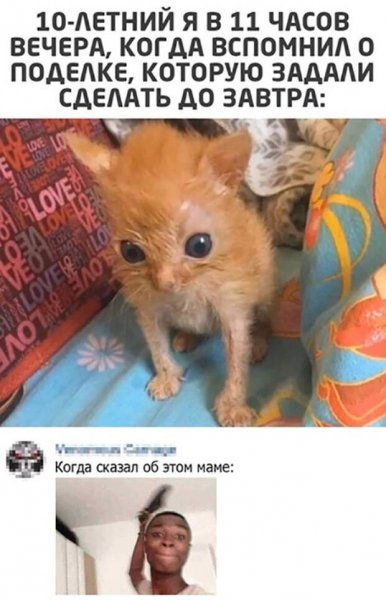 Мем про поделки в школу