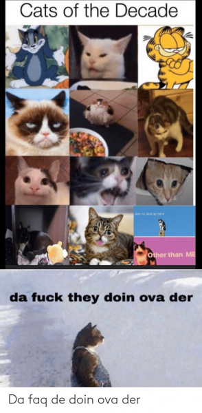 Кринж кот