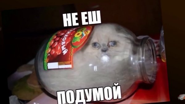 Не ешь подумай