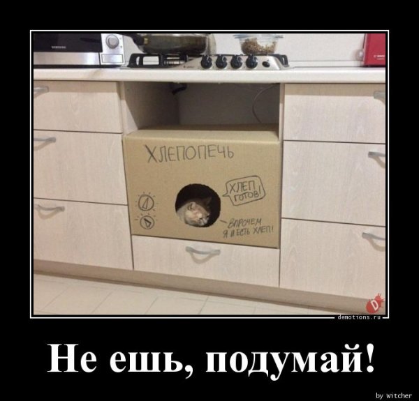 Я не хлеб Мем
