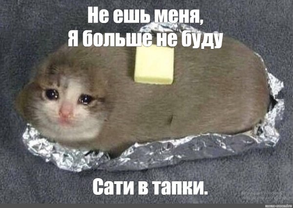 Кот хлеб не ешь меня