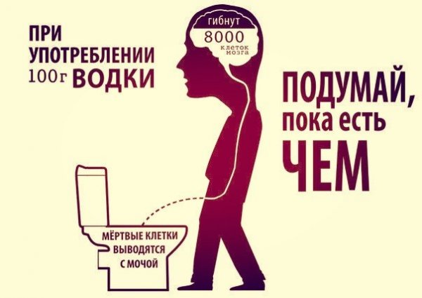Котики "я Хлебушек"