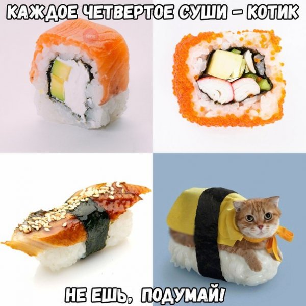 Я кот не ешьте меня