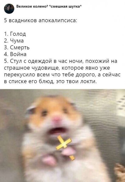 Хомячок с крестом