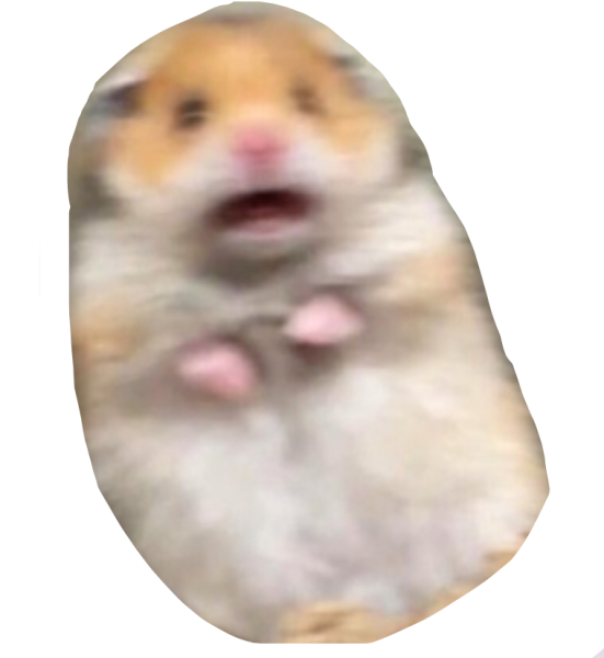Напуганный хомяк
