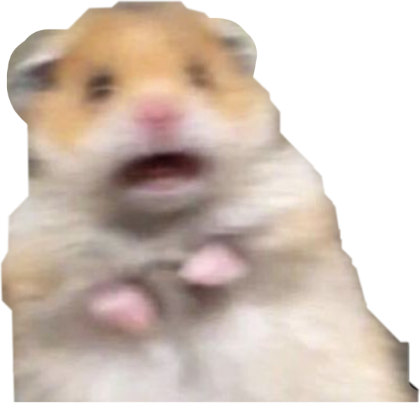 Хомяк испугался