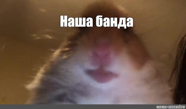 Хомяк Мем