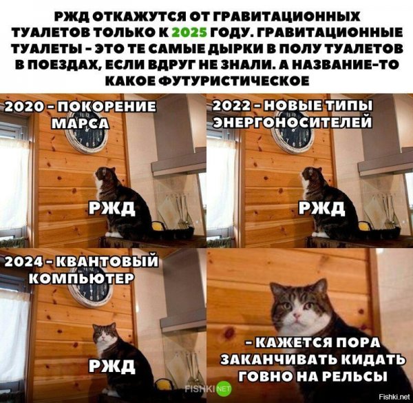 Кажется пора Мем с котом