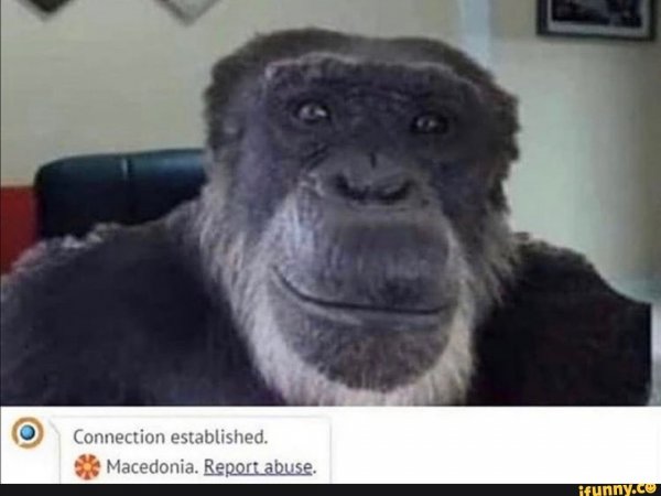 Обезьяна улыбается Мем