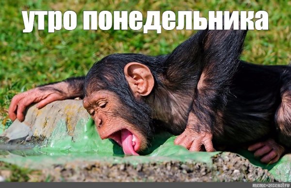 Лосось носач