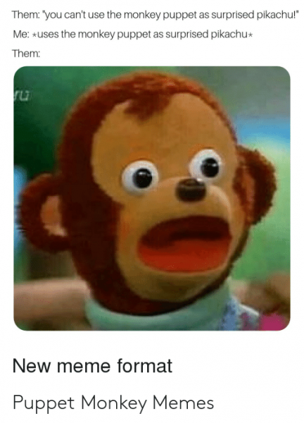 Удивленные обезьяны