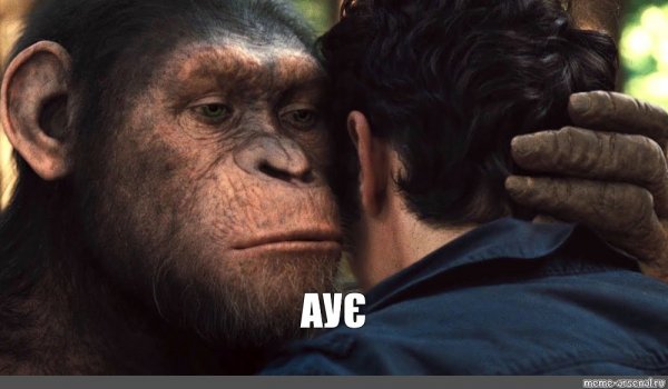 Обезьяны друг на друге