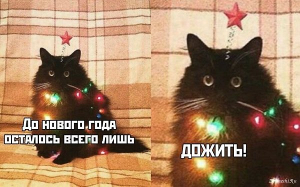 Мемы про новый год 2020