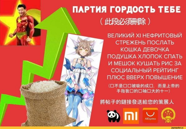 Китайская партия Мем