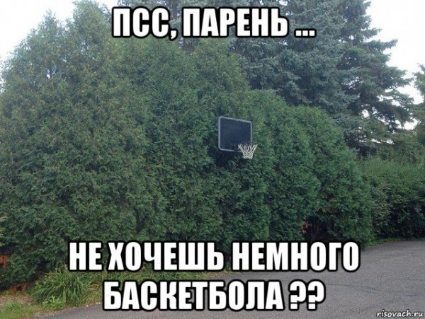 ПСС ПСС парень