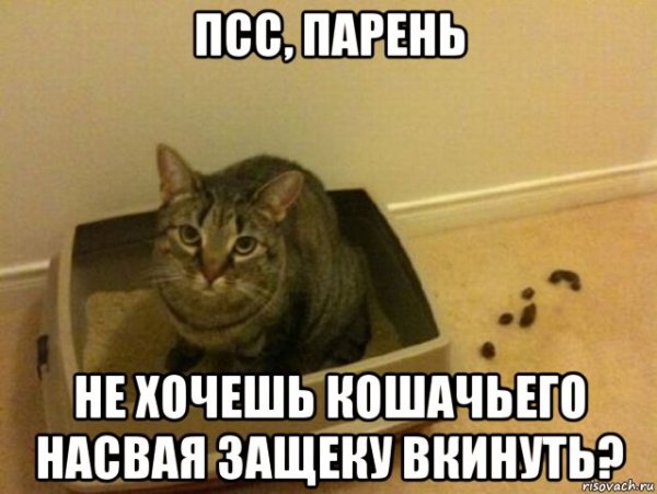 ПСС Мем