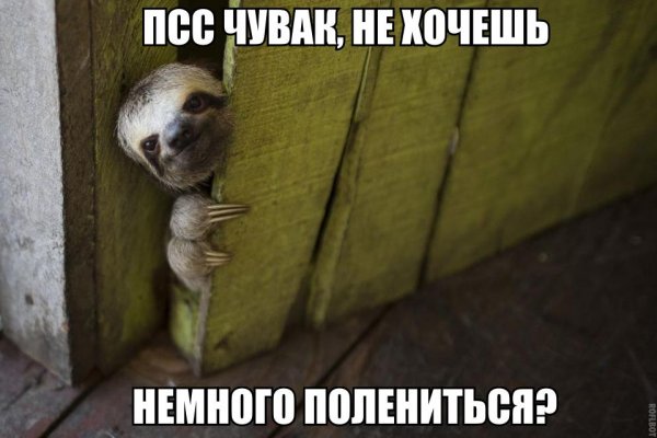 ПСС парень не хочешь немного Мем