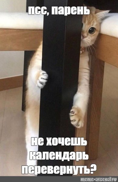 ПСС парень не хочешь