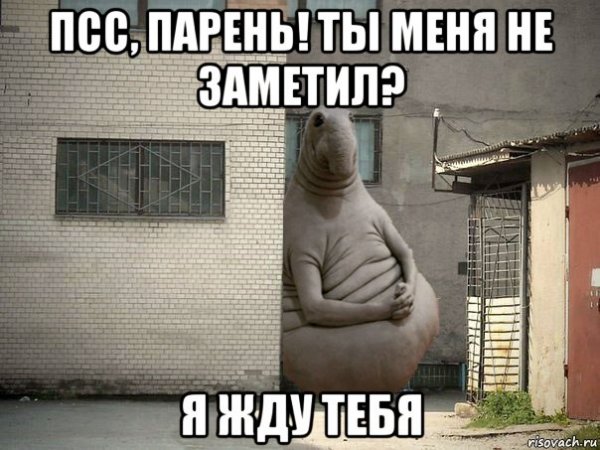 Ждун Мона Лиза