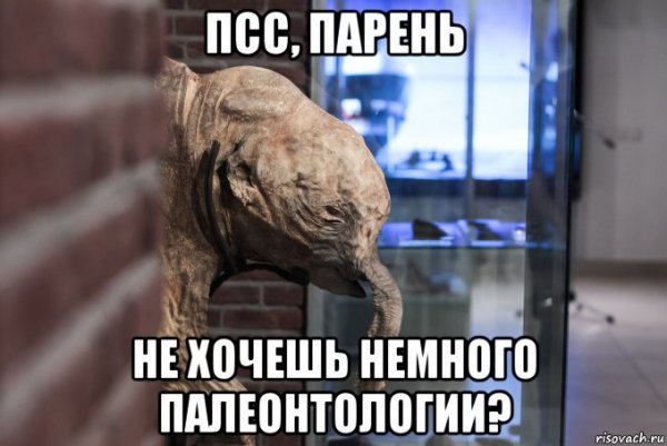 Мемы ПС парень