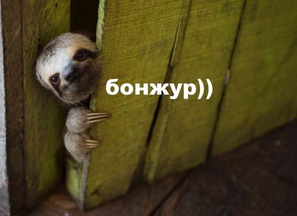 ПСС не хочешь немного Мем