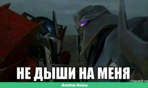 Трансформеры Прайм приколы