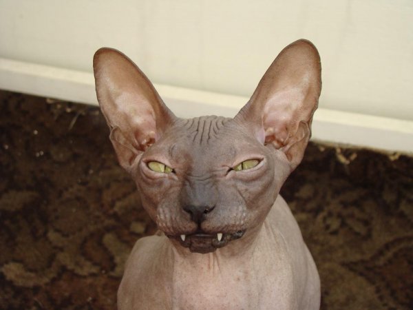 А пятница то ненастоящая