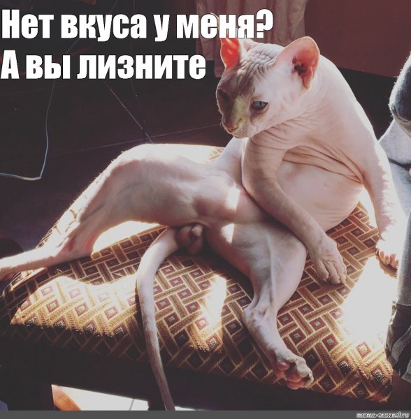 Сфинкс на батарее