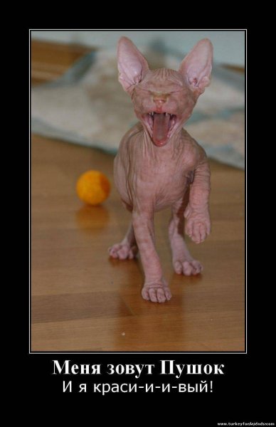 Сфинкс Локи