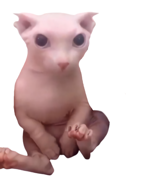 Смешные сфинксы с надписями