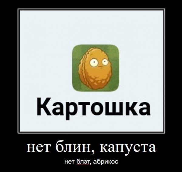 Мемы нет блин