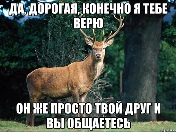 Он просто друг