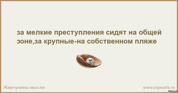 Музыка лучшее утешение для опечаленного человека