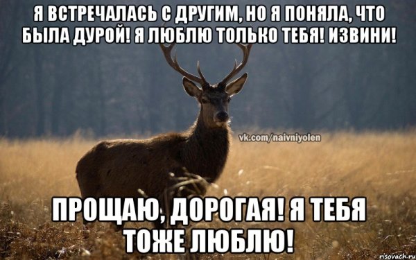 Олень я тебе верю